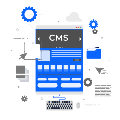 تفاوت پورتال با cms در چیست؟
